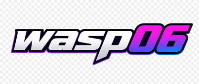 wasp06